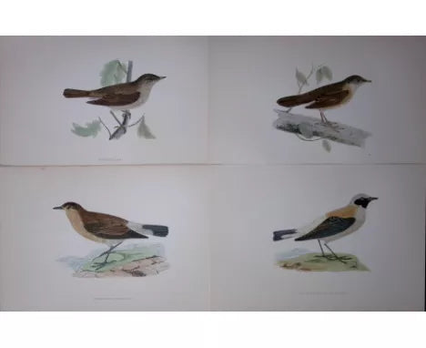 Set of 4 Antique Morris Engravings from England