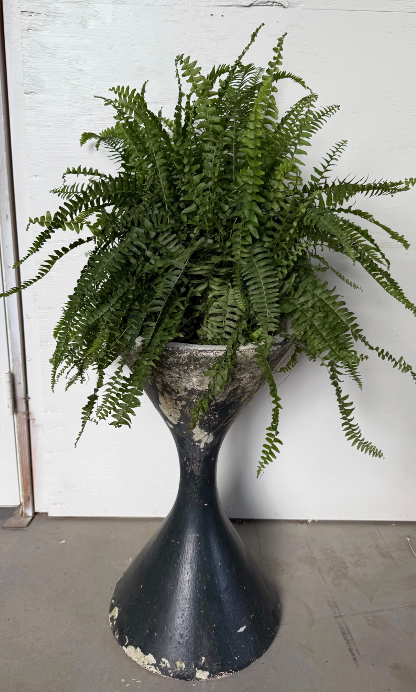 Black Painted Willy Guhl Diabolo Planter