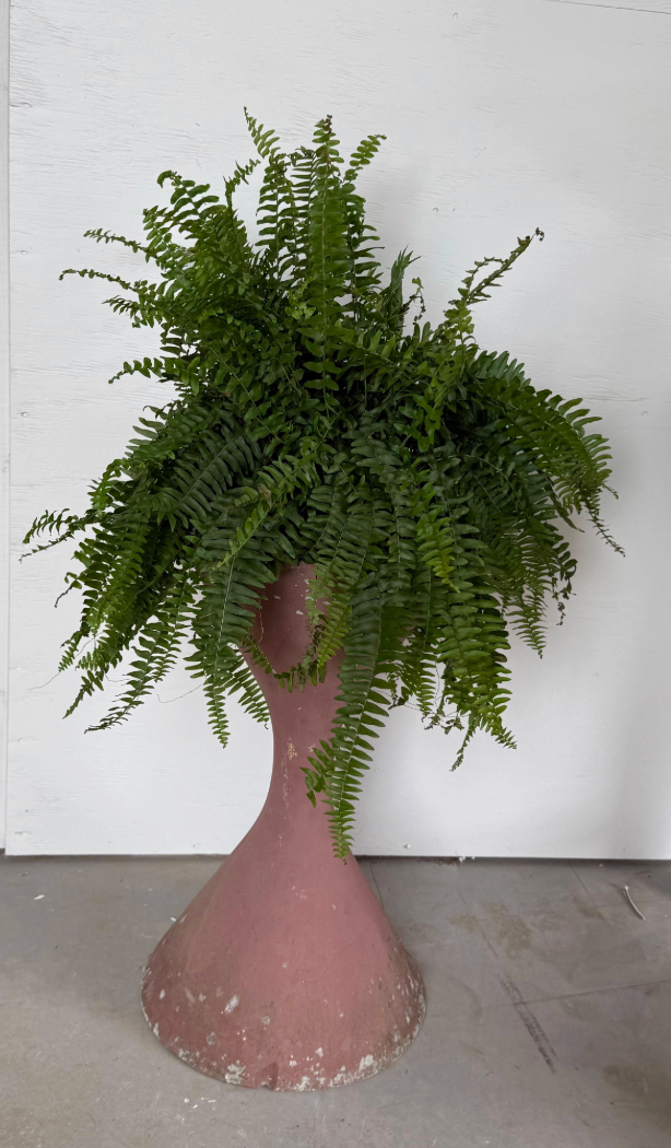 Terracotta Painted Willy Guhl Diabolo Planter